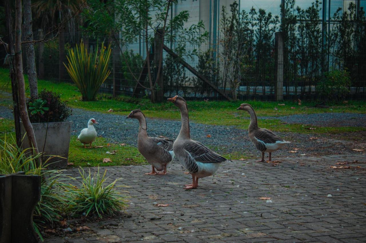 Villa Gramado Motorpark Exterior foto